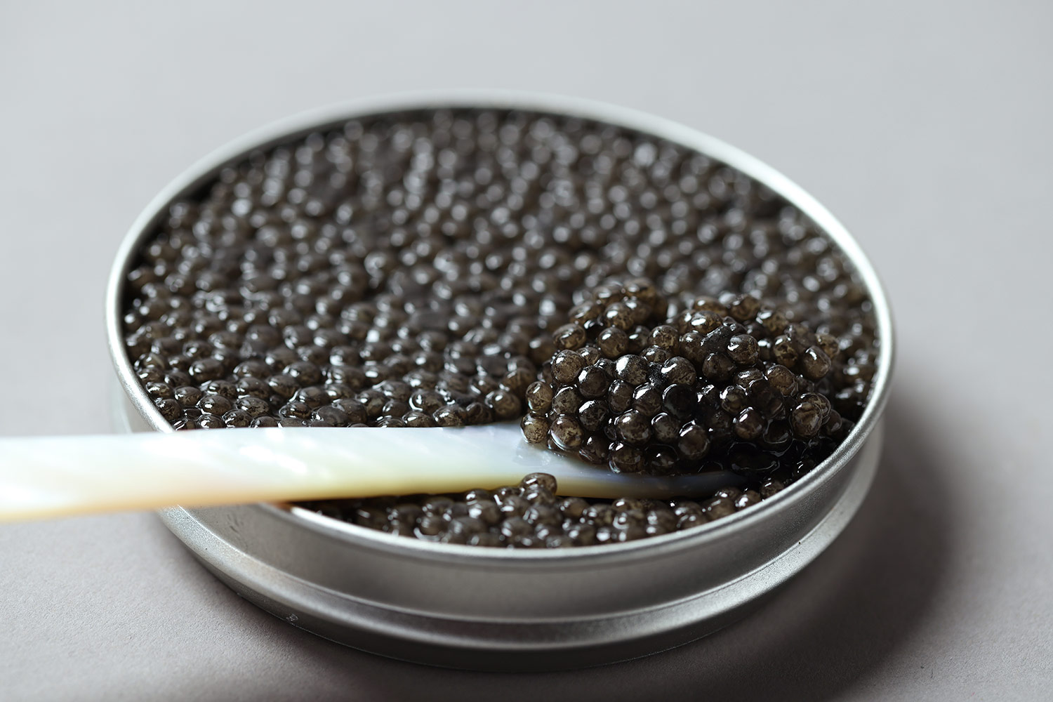 ACIPENSER Caviar