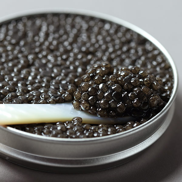 ACIPENSER Caviar