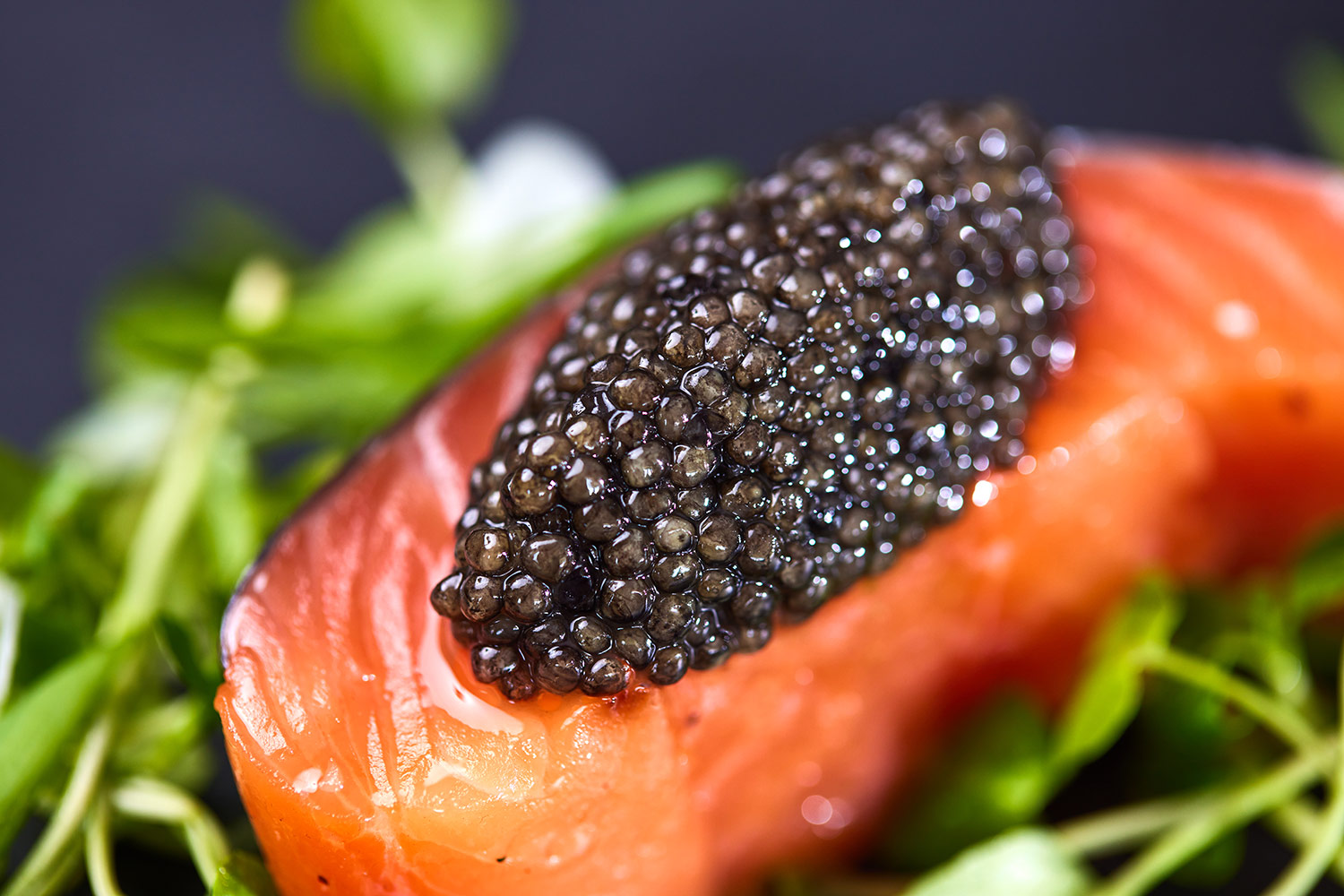 ACIPENSER Caviar